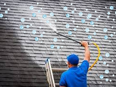 Moss Roof Treatment