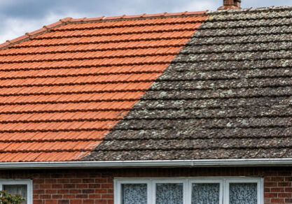 Roof Treatment